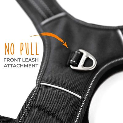 Show full view: Mighty Paw Sport 2.0 Dog Harness, Black, Large slide 4 of 9