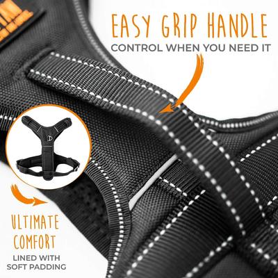 Show full view: Mighty Paw Sport 2.0 Dog Harness, Black, Large slide 5 of 9