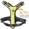 Show in main carousel: Mighty Paw Sport 2.0 Dog Harness, Green, Large slide 4 of 9