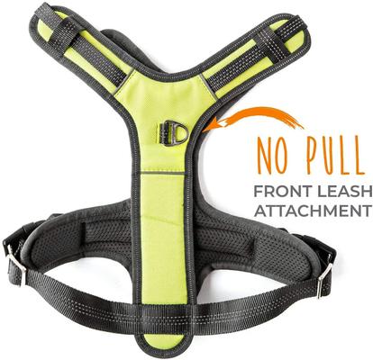 Show full view: Mighty Paw Sport 2.0 Dog Harness, Green, Large slide 4 of 9