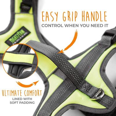 Show full view: Mighty Paw Sport 2.0 Dog Harness, Green, Large slide 5 of 9
