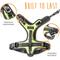 Show in main carousel: Mighty Paw Sport 2.0 Dog Harness, Green, Large slide 8 of 9