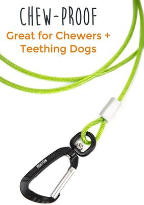 Show full view: Mighty Paw Stainless Steel Chew Proof Cable Leash, 6-ft long, Green slide 3 of 10