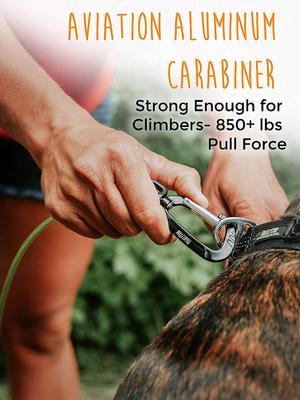 Show full view: Mighty Paw Stainless Steel Chew Proof Cable Leash, 6-ft long, Green slide 4 of 10