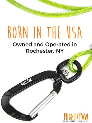 Show full view: Mighty Paw Stainless Steel Chew Proof Cable Leash, 6-ft long, Green slide 9 of 10