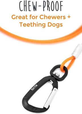 Show full view: Mighty Paw Stainless Steel Chew Proof Cable Leash, 6-ft long, Orange slide 3 of 10