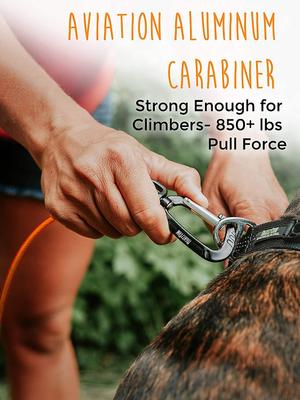 Show full view: Mighty Paw Stainless Steel Chew Proof Cable Leash, 6-ft long, Orange slide 4 of 10