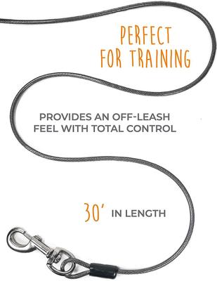 Show full view: Mighty Paw Tie Out Cable Dog Leash, 30-ft, X-Large slide 3 of 10