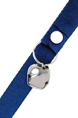 Show full view: Mighty Paw Tinkle Bells Dog Doorbells, Solid, Blue slide 5 of 8