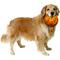 Show in main carousel: Mighty Squeaky Stuffing-Free Plush Ball Dog Toy, Orange, Large slide 3 of 7