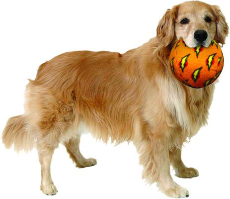 Show full view: Mighty Squeaky Stuffing-Free Plush Ball Dog Toy, Orange, Large slide 3 of 7