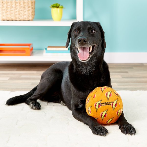 Mighty Squeaky Stuffing-Free Plush Ball Dog Toy
