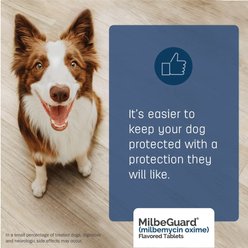 Milbeguard Flavored Tablets for Dogs, 11 -25 lbs, and for Cats, 1.5 - 6 lbs (Blue Box), 5.75 mg, 6 tablets (6-mos. supply) slide 2 of 9