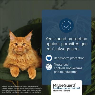 Show full view: Milbeguard Flavored Tablets for Dogs, 11 -25 lbs, and for Cats, 1.5 - 6 lbs (Blue Box), 5.75 mg, 6 tablets (6-mos. supply) slide 7 of 10