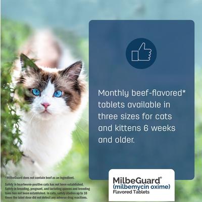 Show full view: Milbeguard Flavored Tablets for Dogs, 11 -25 lbs, and for Cats, 1.5 - 6 lbs (Blue Box), 5.75 mg, 6 tablets (6-mos. supply) slide 9 of 10