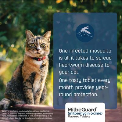 Show full view: Milbeguard Flavored Tablets for Dogs, 26 - 50 lbs, and for Cats, 6.1 - 12 lbs (Purple Box), 11.5 mg, 6 tablets (6-mos. supply) slide 8 of 9