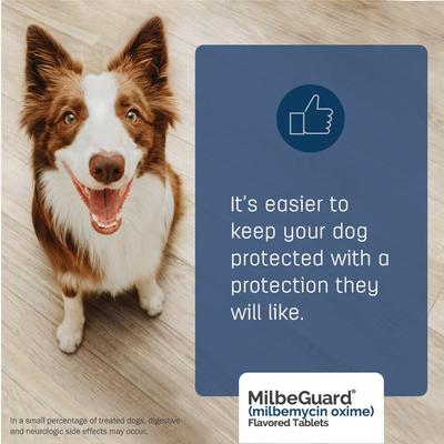 Show full view: Milbeguard Flavored Tablets for Dogs, 51 - 100 lbs, and for Cats, 12.1 -25 lbs (Red Box), 23 mg, 6 tablets (6-mos. supply) slide 6 of 10
