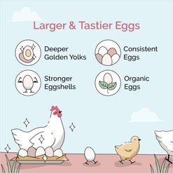 Mile Four 16% Organic Pellet Layer Chicken & Duck Feed, 23-lb bag slide 2 of 8