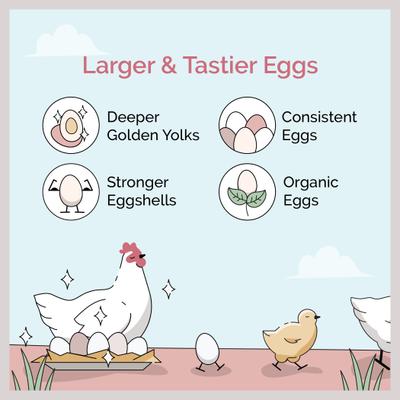 Show full view: Mile Four 16% Organic Pellet Layer Chicken & Duck Feed, 23-lb bag slide 2 of 8