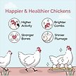 Show in main carousel: Mile Four 16% Organic Pellet Layer Chicken & Duck Feed, 23-lb bag slide 3 of 8