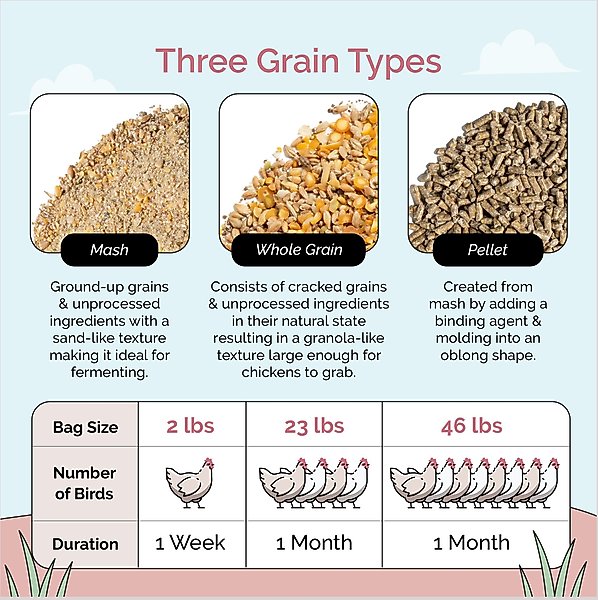 Show full view: Mile Four 16% Organic Pellet Layer Chicken & Duck Feed, 23-lb bag slide 6 of 8