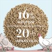 Show in main carousel: Mile Four 16% Organic Pellet Layer Chicken & Duck Feed, 23-lb bag slide 7 of 8