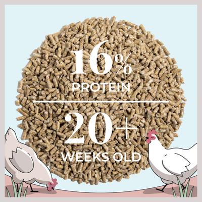 Show full view: Mile Four 16% Organic Pellet Layer Chicken & Duck Feed, 23-lb bag slide 7 of 8