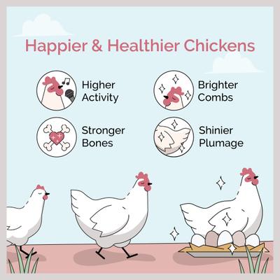 Show full view: Mile Four 16% Organic Pellet Layer Chicken & Duck Feed, 2-lb bag slide 4 of 9