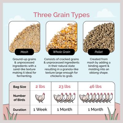 Show full view: Mile Four 16% Organic Pellet Layer Chicken & Duck Feed, 2-lb bag slide 7 of 9