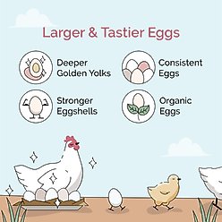 Mile Four Chicken Grit Digestive Poultry Supplement, 50-lb bag slide 2 of 8
