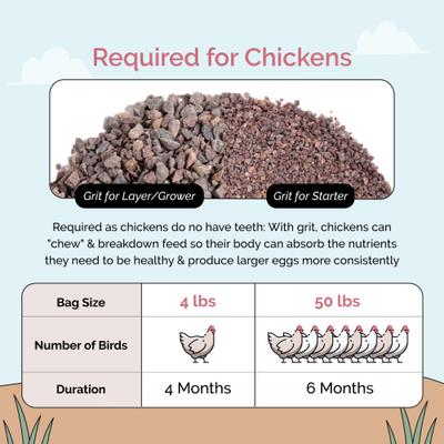 Show full view: Mile Four Chicken Grit Digestive Supplement, 4-lb bag slide 7 of 10