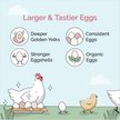Show in main carousel: Mile Four Grower Organic 18% Protein Pellet Chicken & Duck Feed, 23-lb bag slide 2 of 17