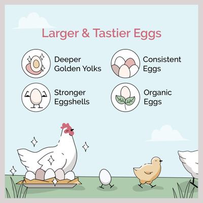 Show full view: Mile Four Grower Organic 18% Protein Pellet Chicken & Duck Feed, 23-lb bag slide 2 of 9