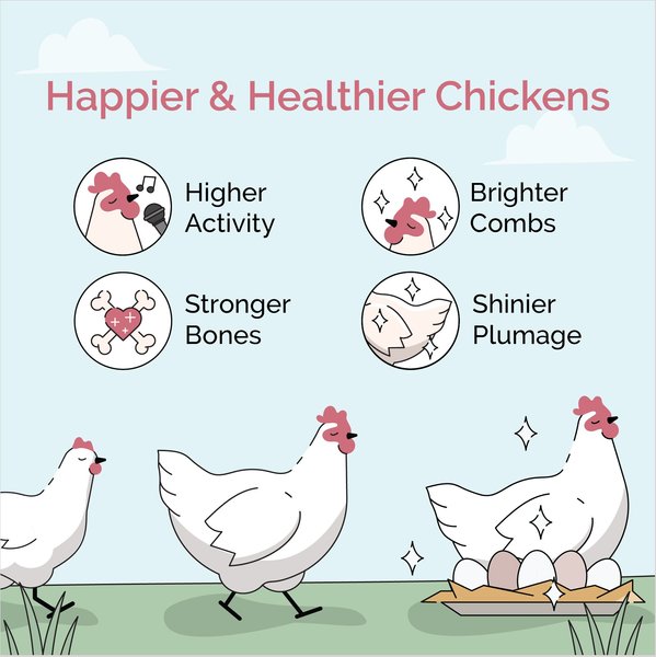 Show full view: Mile Four Grower Organic 18% Protein Pellet Chicken & Duck Feed, 23-lb bag slide 4 of 17