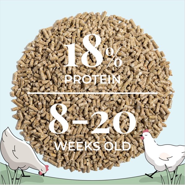 Show full view: Mile Four Grower Organic 18% Protein Pellet Chicken & Duck Feed, 23-lb bag slide 12 of 17