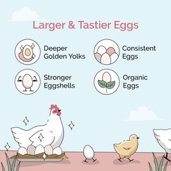 Mile Four Organic 16% Protein Whole Grain Layer Chicken & Duck Feed, 23-lb bag slide 2 of 9