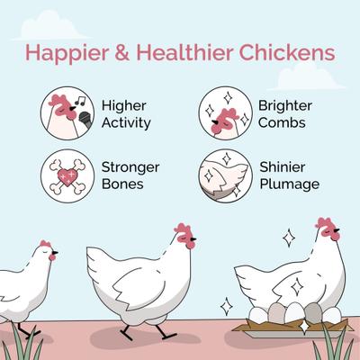 Show full view: Mile Four Organic 16% Protein Whole Grain Layer Chicken & Duck Feed, 23-lb bag slide 3 of 11