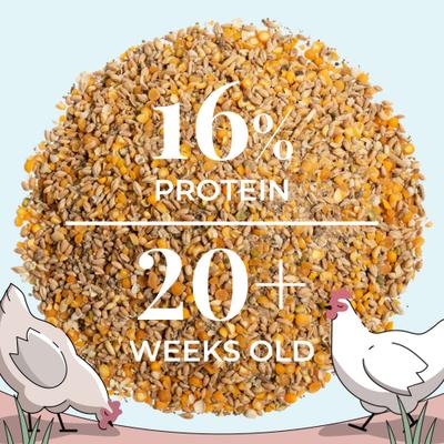 Show full view: Mile Four Organic 16% Protein Whole Grain Layer Chicken & Duck Feed, 23-lb bag slide 7 of 11