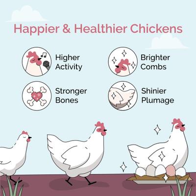 Show full view: Mile Four Oyster Shell Calcium Hen Supplement, 50-lb bag slide 3 of 10