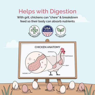 Show full view: Mile Four Starter Chick Grit Digestive Supplement for Chickens, 4-lb bag slide 5 of 9