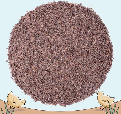 Show full view: Mile Four Starter Chick Grit Digestive Supplement for Chickens, 4-lb bag slide 8 of 9