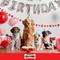 Show in main carousel: Milk-Bone CELEBRATE Birthday Cake Artificially Flavored Biscuits Small Crunchy Dog Treats, 8-oz bag slide 7 of 11