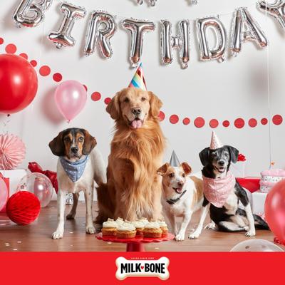 Show full view: Milk-Bone CELEBRATE Birthday Cake Artificially Flavored Biscuits Small Crunchy Dog Treats, 8-oz bag slide 7 of 11