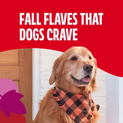 Show full view: Milk-Bone Dunkin’ Maple Bacon Natural Flavor Biscuits Crunchy Dog Treats, 8-oz bag slide 5 of 10