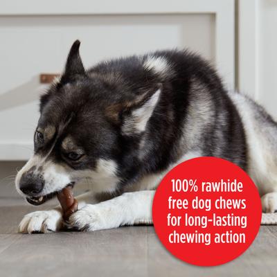 Show full view: Milk-Bone Flavor Rolls Chicken Doodle Dandy Rawhide Free with Chicken Dog Chew Treats, 5 count slide 7 of 12