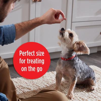 Show full view: Milk-Bone Mini's Flavor Snacks Beef, Chicken & Bacon Flavored Biscuit Dog Treats, 2.5-oz bag slide 7 of 12