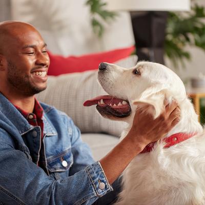 Show full view: Milk-Bone Original Large Biscuit Dog Treats, 20-lb bundle slide 7 of 12