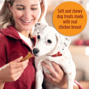 Milk-Bone Soft & Chewy Chicken Recipe Dog Treats, 25-oz tub