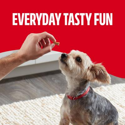 Show full view: Milk-Bone Soft & Chewy Mini’s Made with Real Chicken Dog Treats, 18-oz canister slide 7 of 11