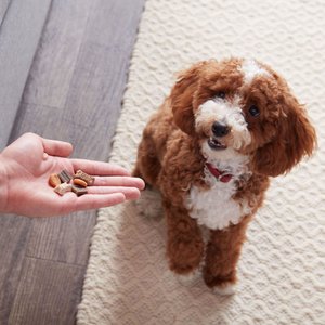 Milk-Bone Trail Mix with Real Beef & Sweet Potato Chewy & Crunchy Dog Treats, 20-oz bag